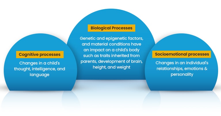 biological-processes-cognitive-processes-and-socioemotional-processes